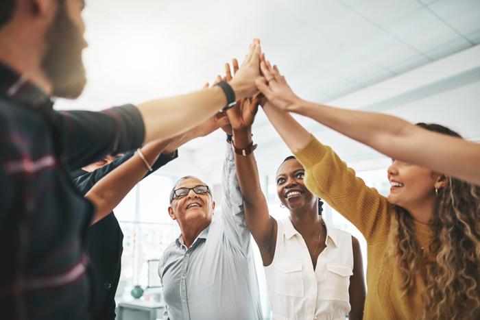 Team collaboration and partnership